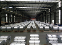 Wholesale Kenya Galvalume Steel Coil for Construction Roof